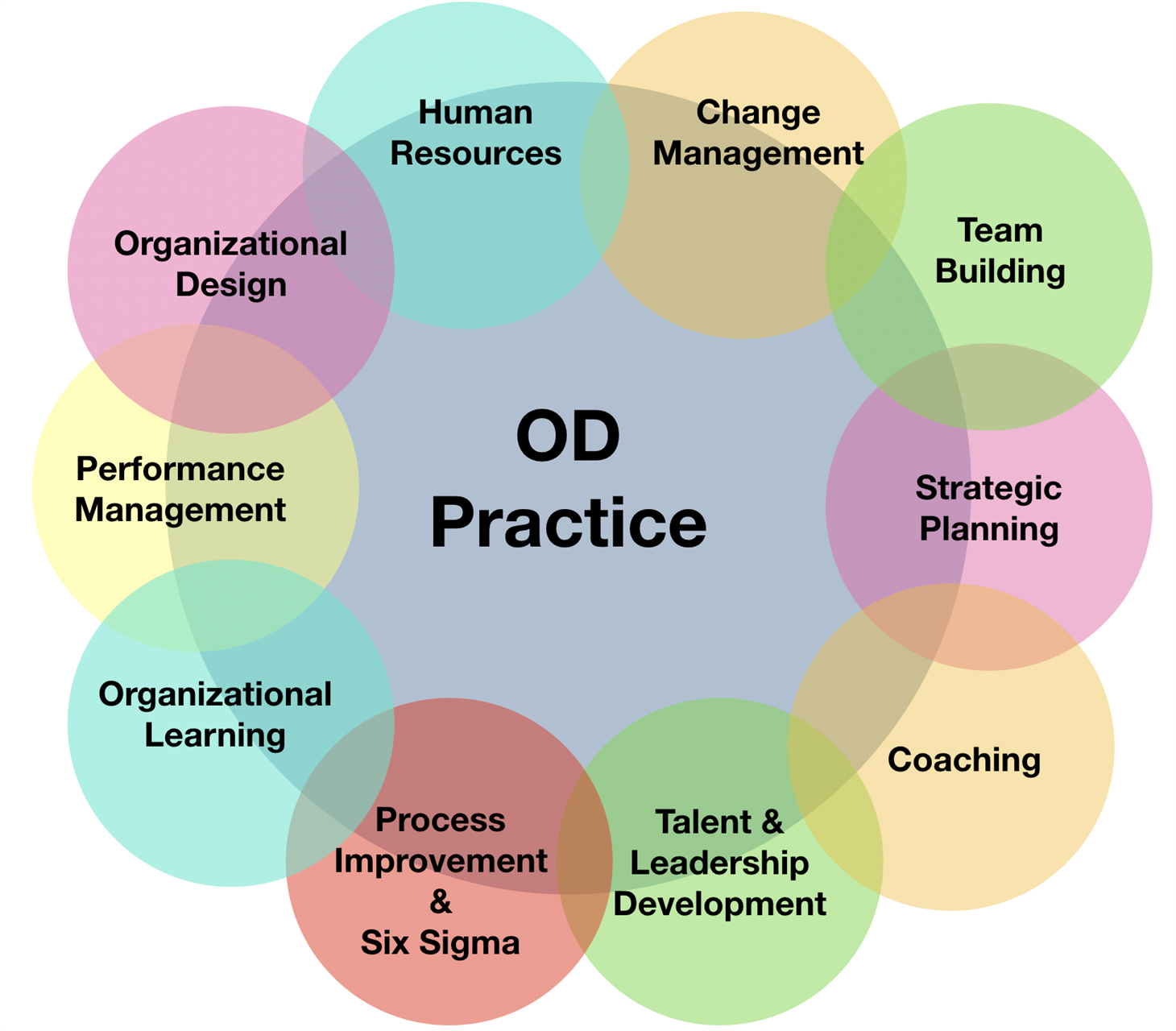 organizational development phd programs